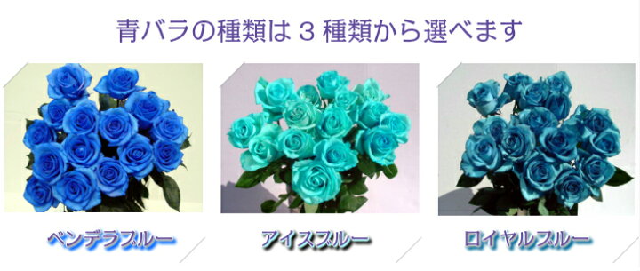 楽天市場 青バラの花束 本 3種類の青バラが選べる 青いバラ 青薔薇 青バラ 彼氏に 生花 ブルーローズ キャバクラ 生花 誕生日 花 プレゼント ギフトキャバクラ 生花 彼氏に お礼 青色 花 ブルー系 結婚 出産 珍しい花 新品種 プレゼント 花言葉 奇跡 神の祝福