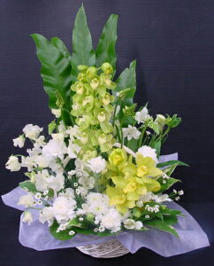 お花 御供のお花 百合 お悔やみ ご進物 お悔やみ 3Lサイズ花 一周忌 お供え物 お供え花 新盆 花供 命日 四十九日 お供え お彼岸 贈り物 法事 命日 仏花 一周忌 三回忌 七回忌 初盆 盆花 アレン