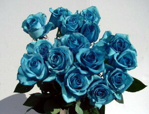 ”ロイヤルブルー” 青バラ 1本　価格　生花　誕生日の花／開店祝い／【結婚祝い】【誕生日】【花】記念日　プレゼントに　青い薔薇　青いバラ　青バラ　ブルーローズ 通販　パーティー