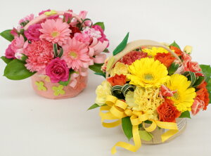 hV̓ Ag ԃobN&[tobNAWgJ[iobNj2ނIׂ܂t[MtgAW @ԁ@v[g@a@LO@Mtg pI e