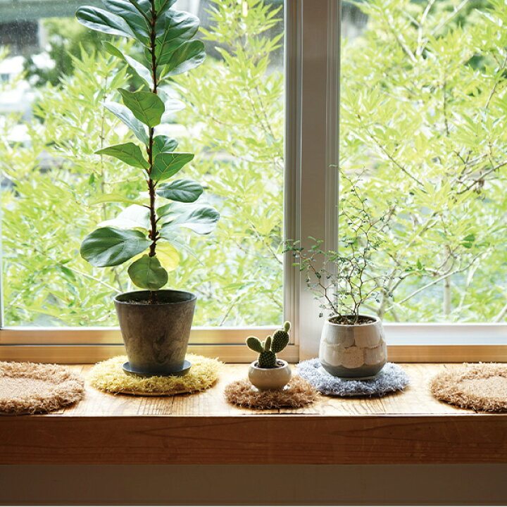 楽天市場】ラグ プランツラグ 植物用ラグ 観葉植物 洗える マット 丸 