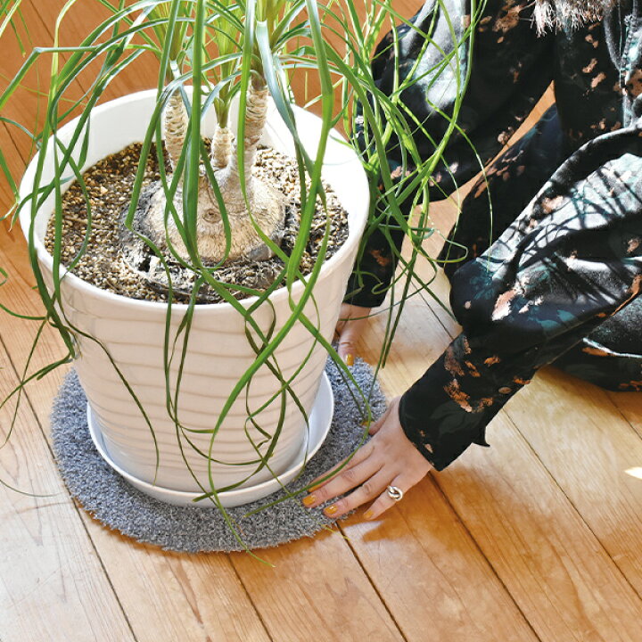 楽天市場】ラグ プランツラグ 植物用ラグ 観葉植物 洗える マット 丸 
