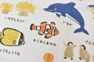 yoׁz^I calmland ~joX^I K[[^I  z   ʋC RpNg [ ȃXy[X LbY xr[ { qp  m Mtg j 蕨 v[ 