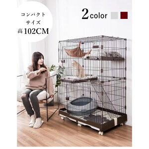 C10080-2SL P[W 3i Q[W  LbgP[W Oi Eh~  ^ nEX i LX^[t LbgQ[W og[ LgCt