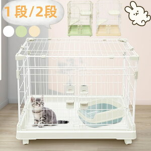 2iLbgP[W LP[W LX^[ t Xebv2i L Lbg P[W 2C ybg Q[W LbgQ[W ybgP[W nbN RpNg  t RpNg i