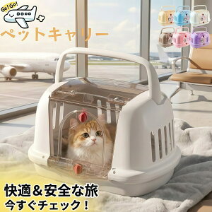 ybgL[ L  L[P[X n[hyq@Ή/LXԁz ybg L[obO N[g Lp ^p  L[ nEX ʋCQ U ʉ@ s  hЃObY 