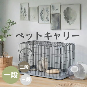 LbgP[W L P[W 1i 2i 3i Iׂ ܂肽 Ch L   Eh~ X`[ Q[W LbgnEX lR nEX T[N gȒP  ^L qL