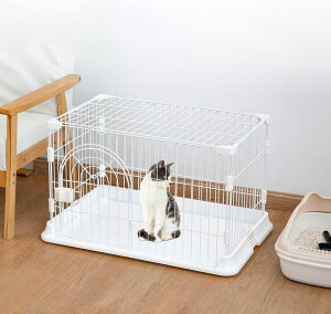 P[W ybgP[W LP[W  P[W ^p T[N Q[W T[N nEX A_[g[t 􂦂 ی ʋCǂ gȒP  ybgpi 76×50.5×47cm