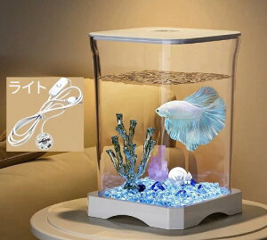 ^ x^ CeA@TJi x^ CeA ㏬^  t^󂯕t ی}bgt ANAVXe Mы  _J  CAEg  