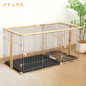  P[W t ybgT[N y111cmz ؐ  gC  d؂ g[ gĈ   ^ ^ Q[W ybgP[W EbfBT[N i` uE