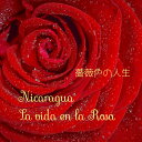 【ニカラグア　薔薇色の人生 生豆1kg】モンテクリスト農園　ブルボン100% フルウォッシュド　オーガニック自然栽培【生豆】コーヒー豆／コーヒー生豆／コーヒー／スペシャルティコーヒー／オーガニックコーヒー／ニカラグアコーヒー