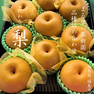 E܂邹ʎ̏{𑡂ɏ㗜iȂjMtgy䑡pz6