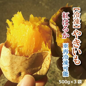 ˂ߔ_̖Ă g͂邩500g x60x ⓀėⓀ\