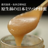 【6/17までポイント10倍】日本ミツバチ 蜂蜜 国産はちみつ 非加熱 無添加｜原生林の花の蜜 自然そのまま…