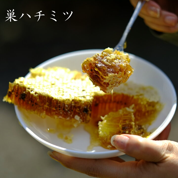 【セミモイスト】 加工品等 はちみつ 鹿児島県 さつま町 s056 国産天然山蜜(1.2kg)鹿児島 🎋 天然 100％ 純粋はちみつ 蜂蜜 ハニー 国産 ヨーグルト パン 下市養蜂場