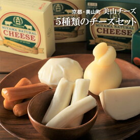 京都・美山町 美山チーズ人気の5種類セット（モッツァレラ・ストリング・燻しストリング・カチョカバロ・ゴーダ） 無添加 乳製品