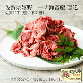 一ノ瀬畜産直送 佐賀和牛（カタロース焼肉／切り落とし／すき焼き・しゃぶしゃぶ）佐賀県嬉野 家庭用 ご褒美 冷凍