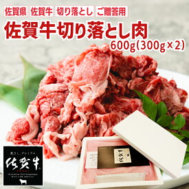 【送料無料】佐賀牛切り落とし 600g（300gX2）｜佐賀牛 黒毛和牛 すき焼き しぐれ煮 プルコギ 贈り物 プレゼント お祝い お礼 パーティー バーベキュー BBQ お中元 お歳暮 牛肉 お徳品 卸 肉類