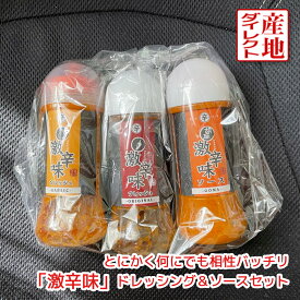 富士吉田橙東の「激辛味フレッシュ＆ソースの 200ml 3種類（オリジナル にんにく ゴマ）セット」ドレッシング ソース 焼肉のタレ ステーキソース キャンプ バーベキュー BBQ すりだね 吉田のうどん サラダ 河口湖 お得 父の日プレゼント 調味料