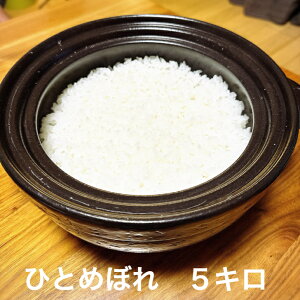 啪Y  ЂƂ߂ڂ ߘa7NY 5L Yn 