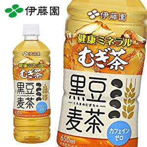 yzɓ N~lނ  650mlPET×24{ 1P[X