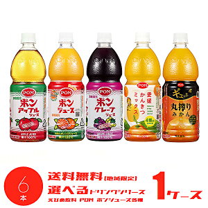 yzyIׂ1P[XzЂ߈ POM |W[X e 800mlPET 1LPET 6{ 1P[XmIW Abv O[v MƊۍ݂n