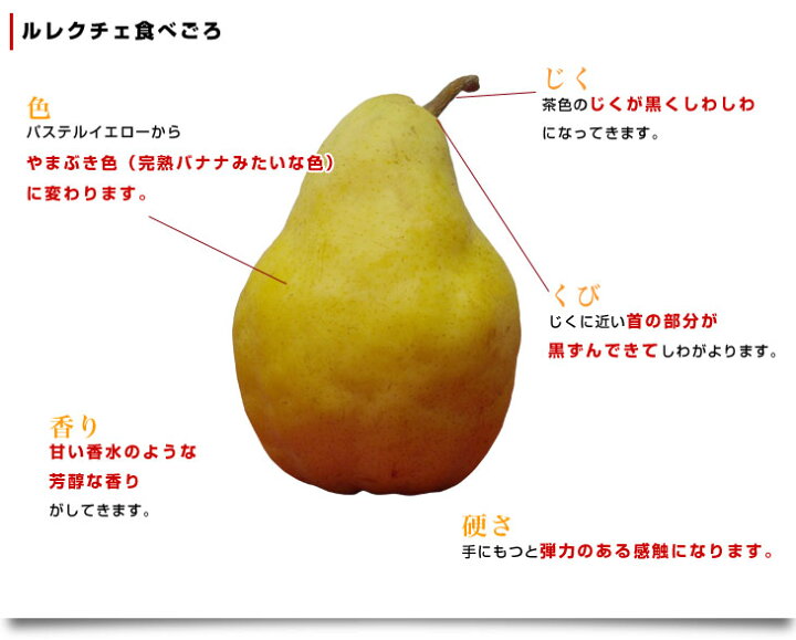 楽天市場】新潟県より産地直送 JAにいがた南蒲 ル レクチェ ご家庭用(良品) 2キロ(4玉から8玉) 洋ナシ 洋梨 ル・レクチェ 冬ギフト 御歳暮 : 産直だより 楽天市場】新潟県より産地直送 JAにいがた南蒲 ル レクチェ ご家庭用(良品) 2キロ(4玉から8玉) 洋ナシ 洋梨 ル・レクチェ 冬ギフト 御歳暮 : 産直だより