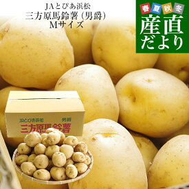 静岡県産 JAとぴあ浜松 三方原馬鈴薯（男爵） Mサイズ 10キロ ばれいしょ じゃがいも ジャガイモ 送料無料