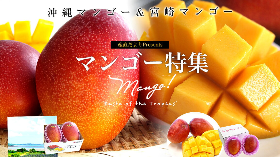 楽天市場 | 産直だより - マンゴー特集