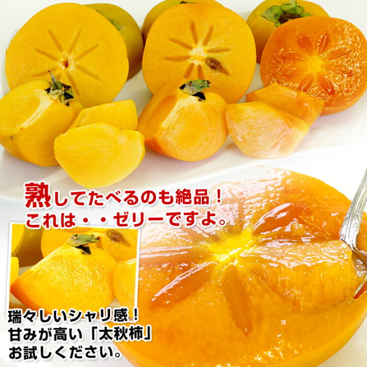 楽天市場】熊本県より産地直送 JAあしきた 太秋柿 2キロ(5玉から6玉) 送料無料 柿 かき : 産直だより 楽天市場】熊本県より産地直送 JAあしきた 太秋柿 2キロ(5玉から6玉) 送料無料 柿 かき : 産直だより