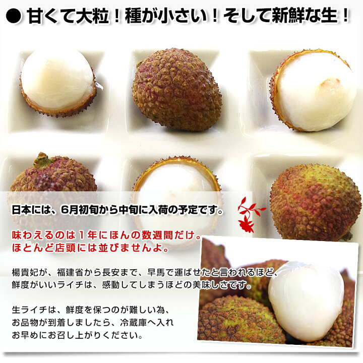 楽天市場】台湾から直輸入 高級 生ライチ 《玉荷包(ぎょっかほう)》 約 