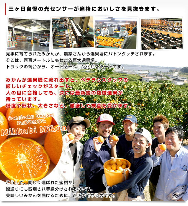 楽天市場】静岡県産 JAみっかび 三ケ日みかん (青島種) 3Lサイズ 7キロ 