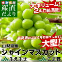 山梨県より産地直送　山梨県産シャインマスカット　約2キロ（3から4房）（JAふえふき、JAこま野）葡萄　ぶどう ランキングお取り寄せ