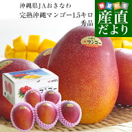 沖縄県からクール航空便で産地直送 JAおきなわ 完熟沖縄マンゴー 秀品 1.5キロ 2LからMサイズ（4玉から6…