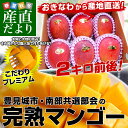 沖縄県より産地直送　JAおきなわ　豊見城市・南部共選　完熟マンゴー　約2キロ（4から6玉入） ランキングお取り寄せ