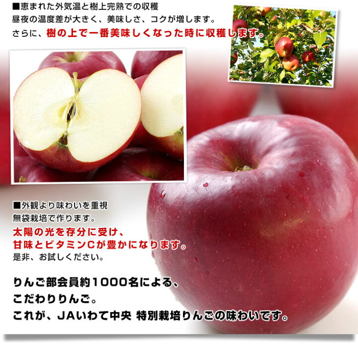 楽天市場】岩手県より産地直送 JAいわて中央 特別栽培りんご 紅玉 5キロ(20玉から25玉) こうぎょく 林檎 リンゴ 送料無料 : 産直だより 楽天市場】岩手県より産地直送 JAいわて中央 特別栽培りんご 紅玉 5キロ(20玉から25玉) こうぎょく 林檎 リンゴ 送料無料 : 産直だより