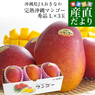 沖縄県からクール航空便で産地直送 JAおきなわ 完熟沖縄マンゴー 秀品 Lサイズ×3玉 合計900g (約300g×3…