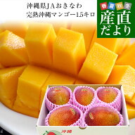 沖縄県から航空便で産地直送 JAおきなわ 完熟沖縄マンゴー 約1.5キロ (3玉から6玉入) 送料無料 まんごー …