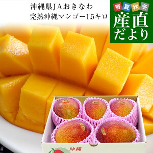 ���ꌧ����N�[���q��ւŎY�n���� JA�����Ȃ� ���n����}���S�[ ��1.5�L�� (3�ʂ���6�ʓ�) �������� �܂񂲁[ �A�[�E�B���� ������ �M�t�g�@from����