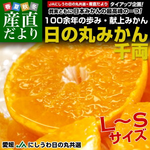 yΕ MtgzQYn JAɂ ̊ۂ݂ 痼 LSTCY 5L(40ʂ60)   ~J
