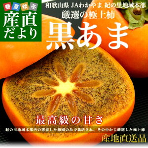 a̎RYn JA킩 I̗n{ Im`u܁v 2L(8ʂ10)  JL  `