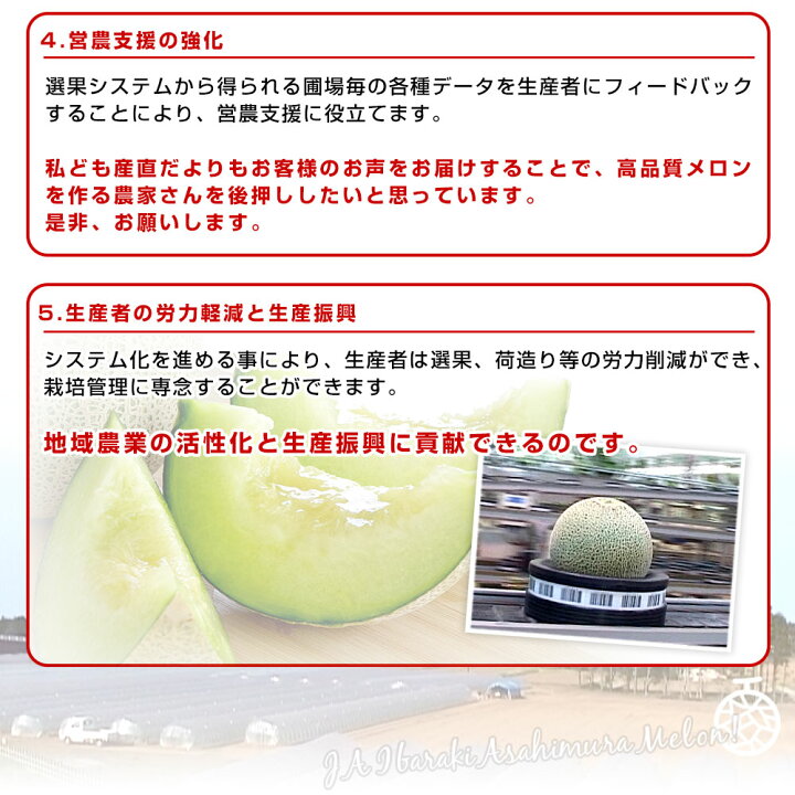 楽天市場】茨城県産 JA茨城旭村 アンデスメロン 秀品 2玉入り (合計約2 