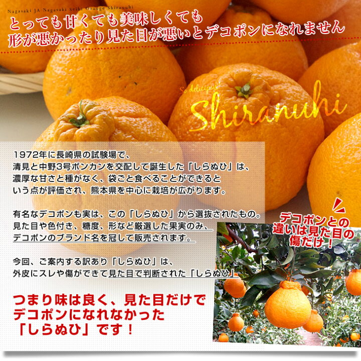 楽天市場 長崎県より産地直送 Ja長崎せいひ 不知火 しらぬひ 優品 4ｌからｌサイズ 5キロ 15玉から24玉 送料無料 柑橘 かんきつ 産直だより