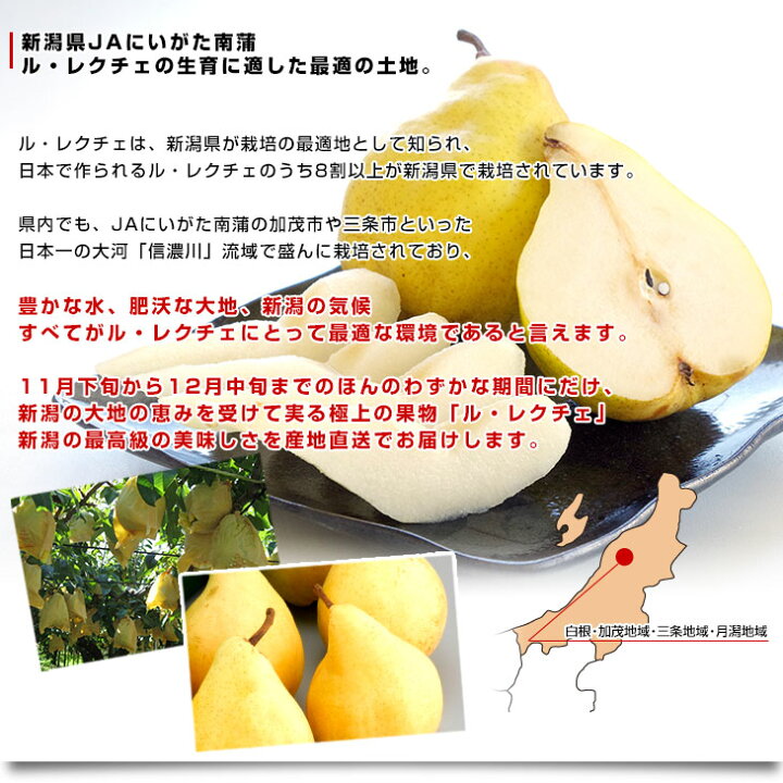 楽天市場】新潟県より産地直送 JAにいがた南蒲 ル レクチェ 秀品 2キロ(4玉から7玉) 洋ナシ 洋梨 ル・レクチェ 冬ギフト 送料無料 御歳暮 お歳暮 ギフト : 産直だより 楽天市場】新潟県より産地直送 JAにいがた南蒲 ル レクチェ 秀品 2キロ(4玉から7玉) 洋ナシ 洋梨 ル・レクチェ 冬ギフト 送料無料 御歳暮 お歳暮 ギフト : 産直だより