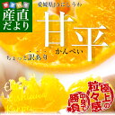 送料無料 愛媛県より産地直送 JAにしうわ 甘平(かんぺい) ちょっと訳あり Lから3Lサイズ 3キロ(10から15玉)