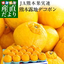 送料無料 熊本県産 JA熊本果実連 露地栽培デコポン 2LからLサイズ 5キロ (20から24玉)柑橘 オレンジ 市場スポット