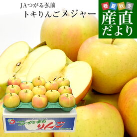 青森県より産地直送 JAつがる弘前 弘前のりんご メジャー トキ 約3キロ (小玉 13玉入り) 送料無料 リンゴ りんご 林檎