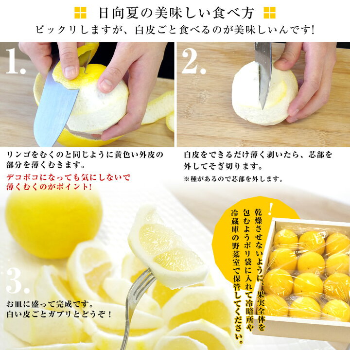 楽天市場 宮崎県より産地直送 Ja宮崎中央 日向夏 小核 種少なめ 2 5キロ化粧箱 2lからl 12から13玉前後 送料無料 柑橘 みかん 小夏 ひゅうがなつ 産直だより