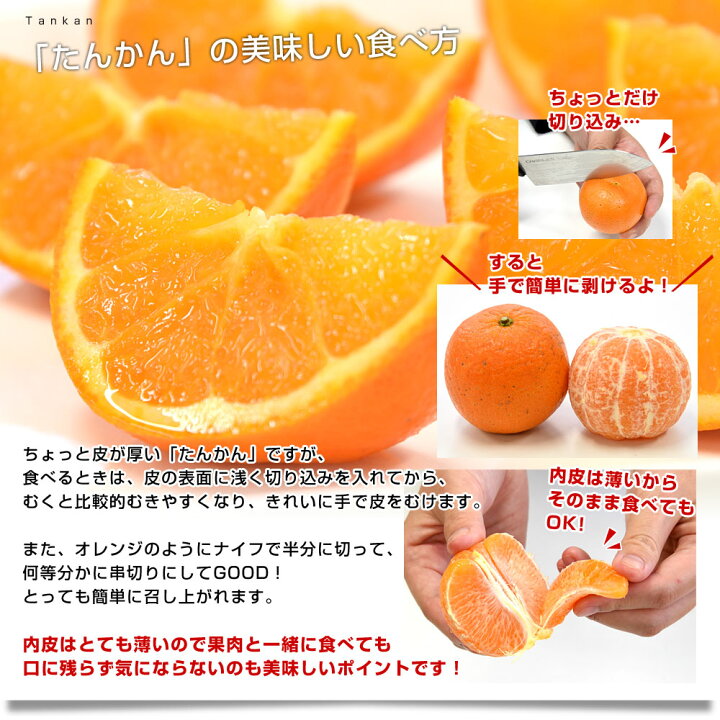 楽天市場 鹿児島県産 Ja南さつま たんかん 5キロ Lからm 30玉から40玉前後 送料無料 市場発送 柑橘 オレンジ タンカン 薩摩 産直だより