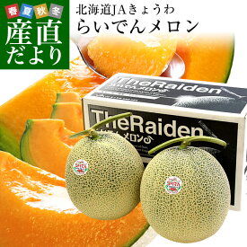 北海道産 JAきょうわ らいでんメロン 赤肉 2玉 約3キロ(1玉1.5キロ前後) 送料無料 めろん 夏ギフト お中元ギフト 市場発送